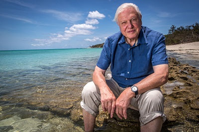 The ‘Attenborough effect’: Turning the tide on plastic pollution