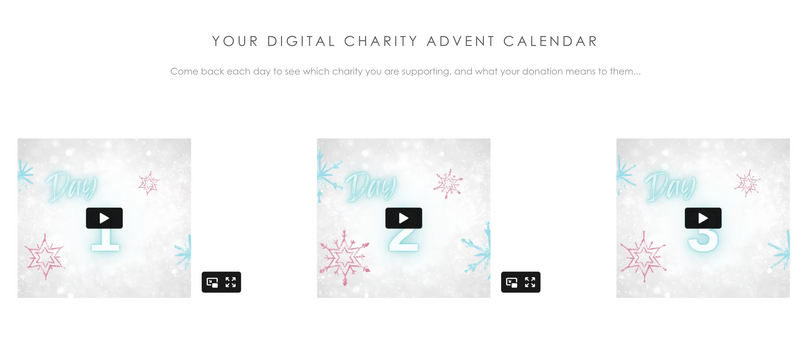 CHARITY ADVENT CALENDAR